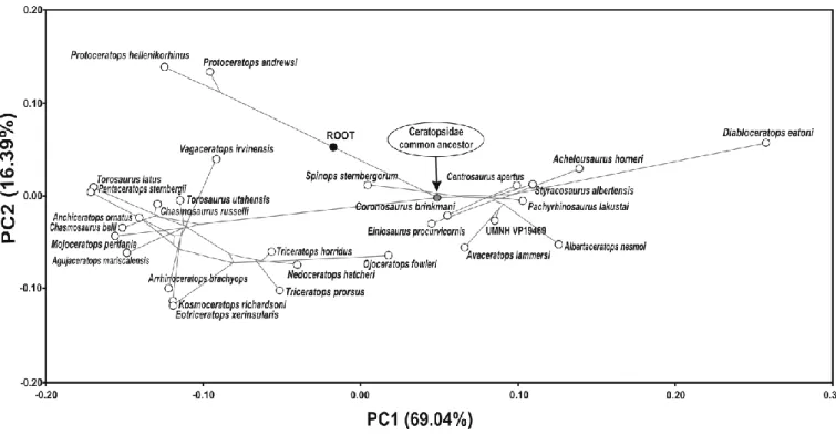 Figure 2.5. PCA of the mean-shapes of terminal taxa with the phylogenetic tree superimposed, 