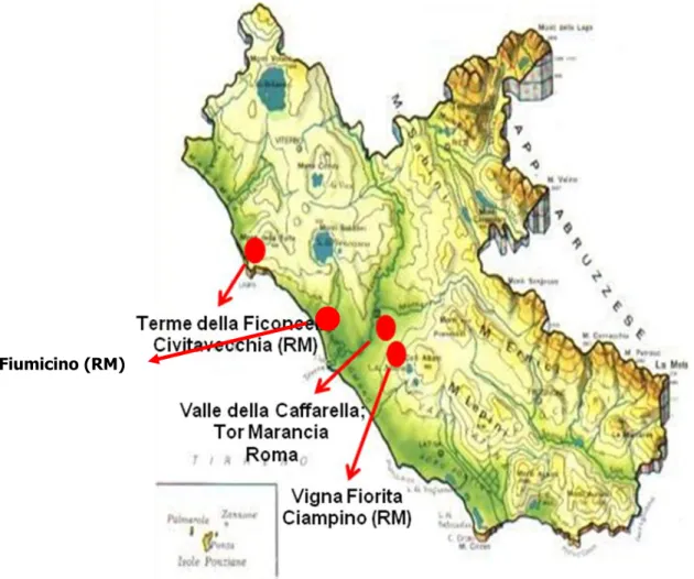 Figura 7: Aree di studio all’interno della Regione Lazio Fiumicino (RM) 