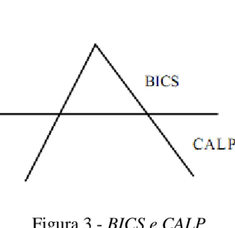 Figura 3 - BICS e CALP 