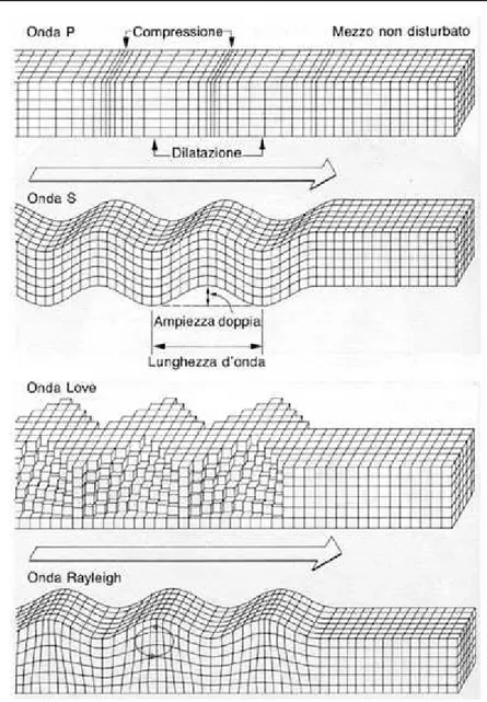 Figura  3.1  -  Differenti  tipi  di  onde  sismiche:  a)  onde  longitudinali;  b)  onde  trasversali; c) onde superficiali di Love; d) onde superficiali di Rayleigh 