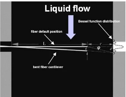Fig. 3.2. Sensore di flusso basato sulla modulazione dell’intensità luminosa [61]. 