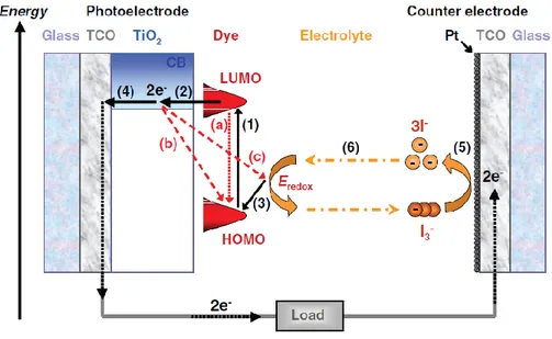 Fig.  2.2:  Operating  principle  of  a  DSSC  (J.  Halme  2010). The  black  and  red  arrows  show the forward and back reactions, respectively