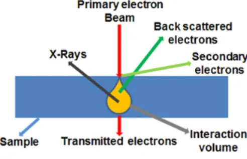 Figure 2.6: Schematic view of the electron and material interaction used for 