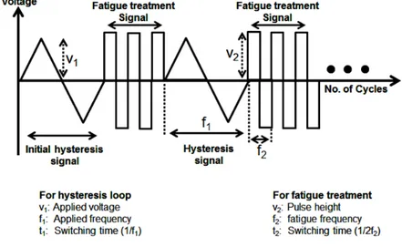 Figure 2.9: Schematic view of the fatigue treatment process. 