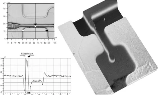 Figure 71 – Gate electrode of a MESFET fabricated with DDL contact on large grain size  