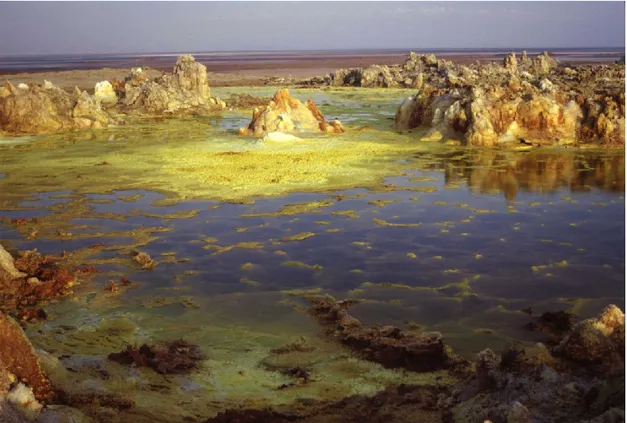 Fig. 3.1.2.5 One of the several hot spring around Dallol mound. Picture by Dot. Valerio Acocella