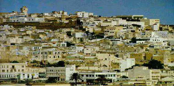 Figura 9. Veduta della città di Tangeri. 