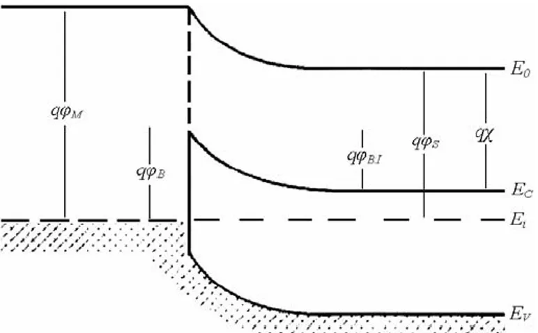 Figura 1.2: Diagramma a bande di una giunzione Schottky raddrizzante,  formata tra un metallo ed un semiconduttore di tipo n