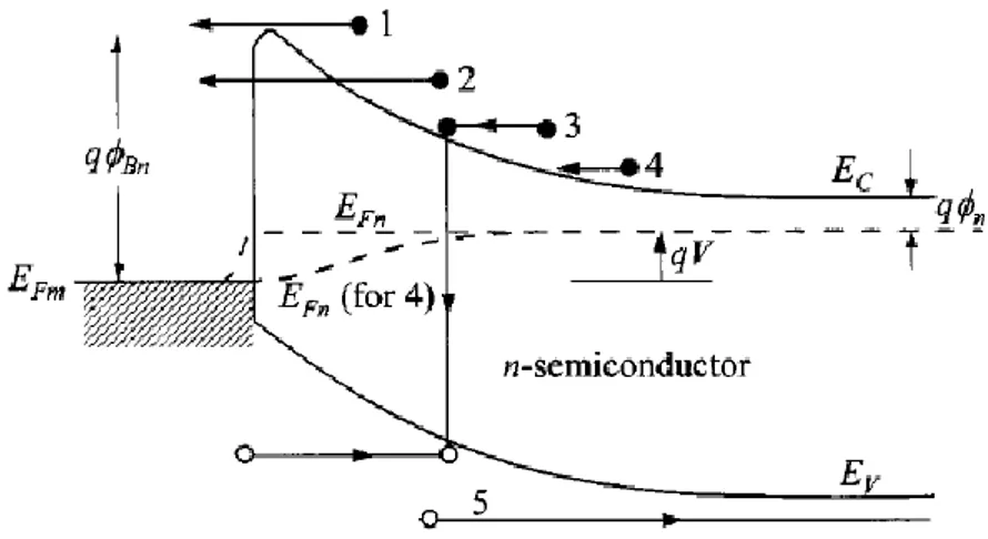 Figura 1.9: Cinque processi responsabili del trasporto: 1) Emissione  temoionica; 2) Tunneling; 3) Ricombinazione; 4) Diffusione di 