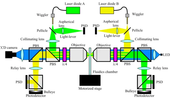 Figure 2.2: Optic Scheme of the Minitweezer setup. The two different laser beams are drawn in green and yellow