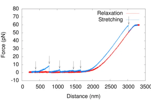 Figure 2.6: The effect of silica–DNA interaction on the stretching curve in pulling experiments on double stranded DNA