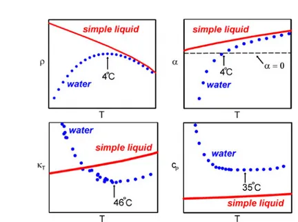 Figure 3. A schematic comparison of the isobaric temperature dependence of the density ρ, thermal