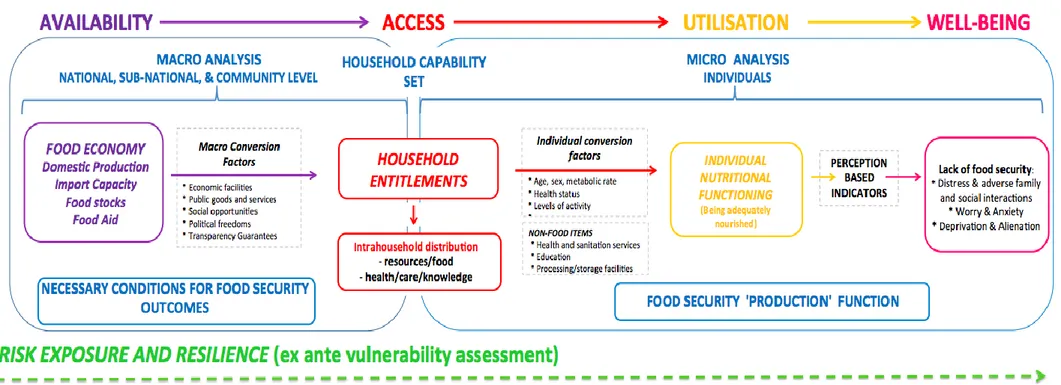 Figure 5 An integrated macro-micro, dynamic to the analysis of food security 