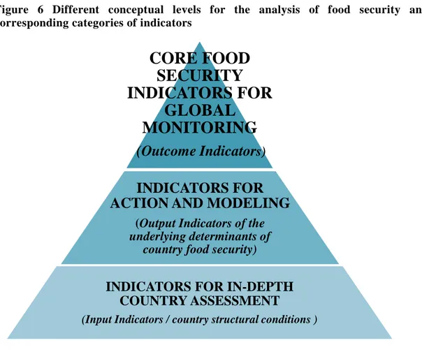 Figure  6  Different  conceptual  levels  for  the  analysis  of  food  security  and  corresponding categories of indicators 