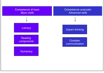 Figura 4 - Suddivisione delle competenze alfabetiche secondo lo schema  O CSE  – P IAAC 