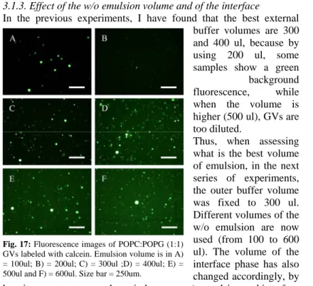 Fig. 17: Fluorescence images of POPC:POPG (1:1) GVs labeled with calcein. Emulsion volume is in A) = 100ul; B) = 200ul; C) = 300ul ;D) = 400ul; E) = 500ul and F) = 600ul