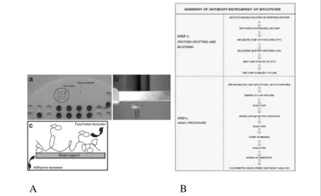 Fig. 7-A: Microarray spotting platform used for Aflatoxin B1 detection; B: Scheme of 