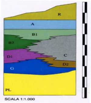 Fig 2.10: stratigraphic relationship scheme of the Tiber alluvium; R= landfill; PL= plio- plio-pleistocene complex