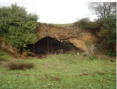 Figura  12.  Ingresso  di  una  cava  abbandonata  in  valle  della  Caffarella,  scavata  nell’unità  eruttiva  di  “Villa Senni”.