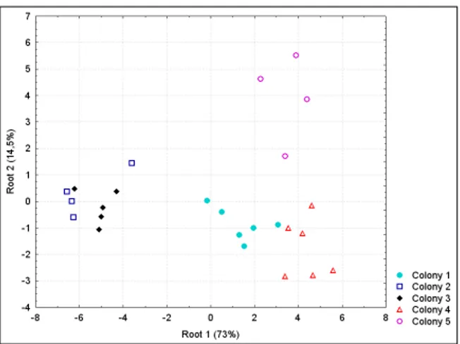 Figure 3 – Plot of DA bases on the factors extracted by the PCA performed on the 