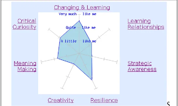 Figura 4 – Profilo di apprendimento individuale 