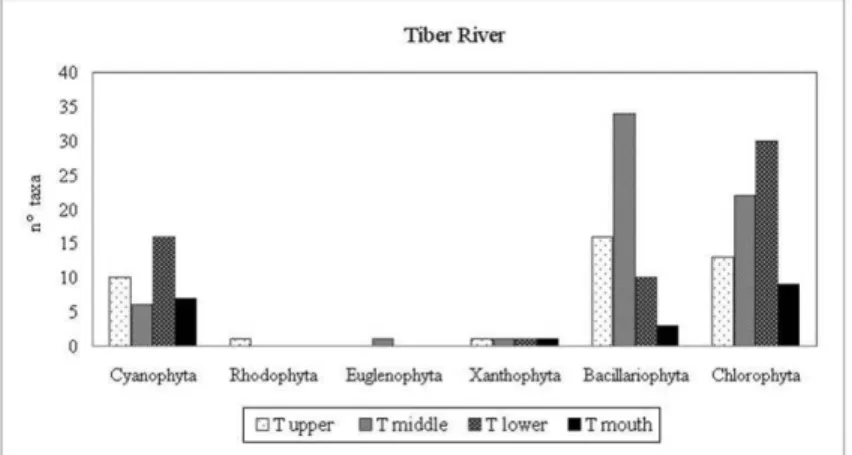 Tab. 3.3: Floristic algae richness in the various sections of the river Tiber and Aniene