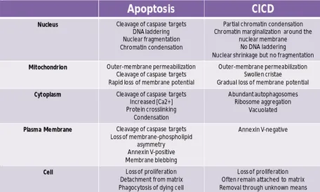 Table  1.  Characteristics  of  apoptotic  and  caspase-independent  cell  death.  (From 