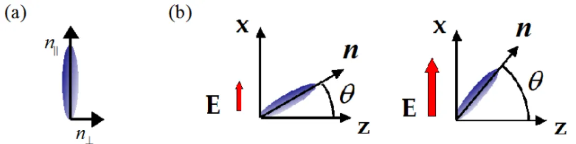 Figure 1.3: NLC optical properties. (a) The NLC anisotropy is given by the difference in the refractive indices associated to direction parallel and perpendicular to the long axis (molecular director), n k and n ⊥ , respectively