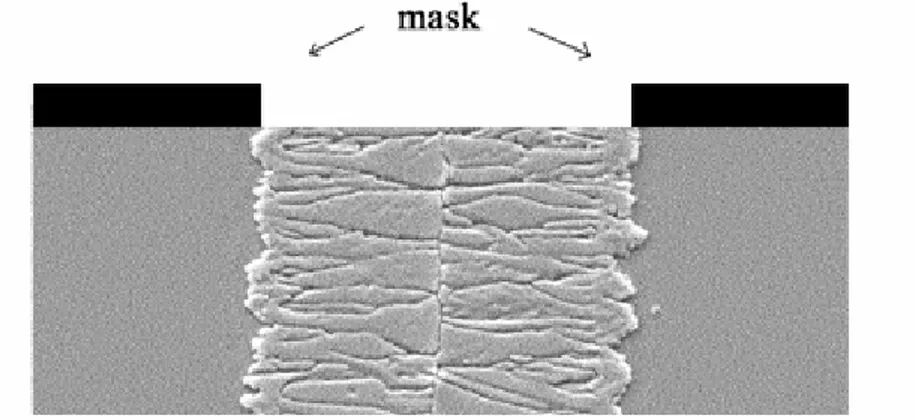 Figura 1.18: Immagine SEM dei grani in un film di polisilicio cresciuti lateralmente mediante irraggiamento  con maschera [17]