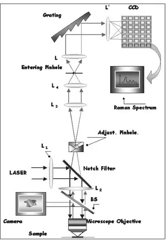 Figure 3.7: Optical scheme of the micro-Raman spectrometer employed in the present work.