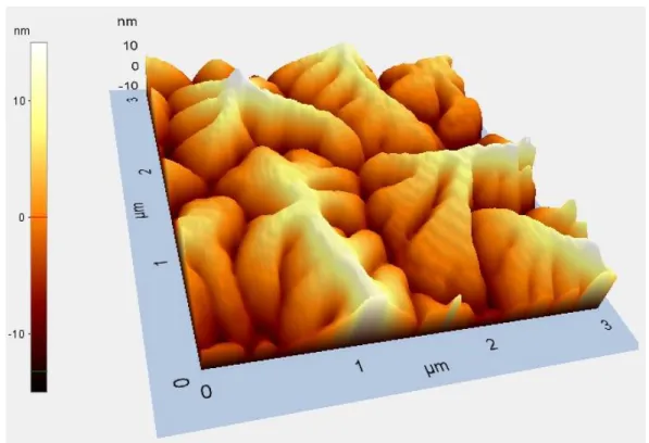 Figura 2.2:  Immagine AFM di un film di pentacene policristallino depositato con rate 