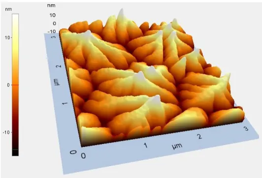 Figura 2.3:  Immagine AFM di un film di pentacene policristallino depositato con rate 