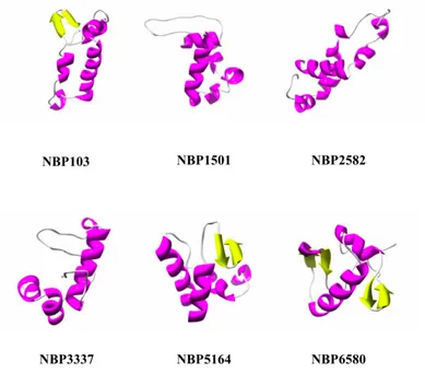 Figure 5.  Schematic representation of the three-dimensional structure of randomly chosen NBPs, α helices are coloured in 