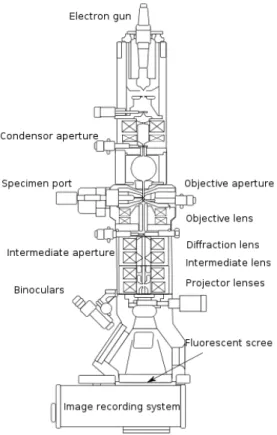 Figure 2.6: Schematic representation of the basic components of a TEM.