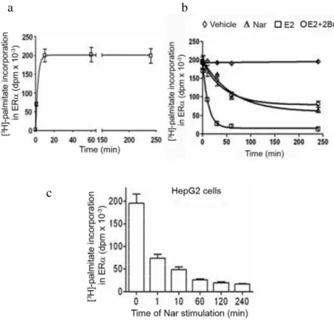 Figure  3.3:  Effect  of  Nar  on  ERα  palmitoylation.  (a)  Time  course  of  [ 3 H]-palmitate  incorporation  in  ERα  transfected  HeLa  cells