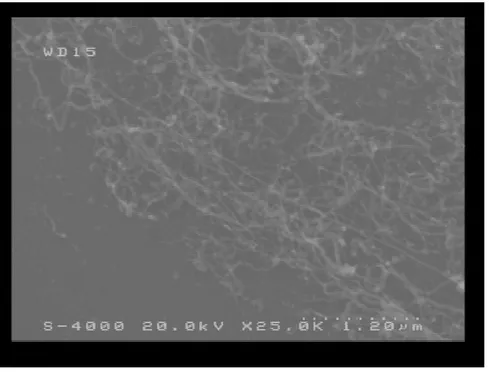Fig. 6c SEM images of CNTs produced by CVD process. The length of the bundle of CNTs is several microns.
