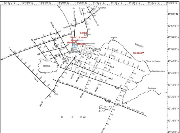 Fig. 8: Seismic data acquired in the Campi Flegrei area 