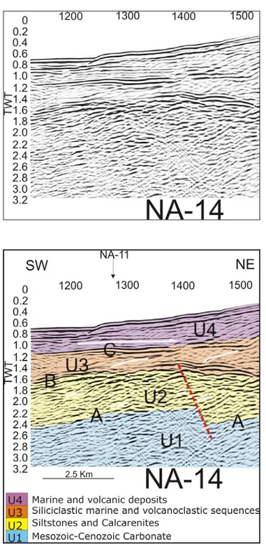 Fig. 12: Seismic profile Na-14 and corresponding interpretation. (for location of the  seismic line, see fig