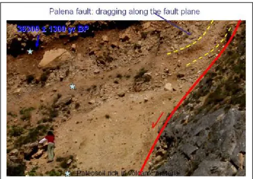 Fig. 4.2.10 – Slope deposits dated at the Late Pleistocene dragged along the  fault plane