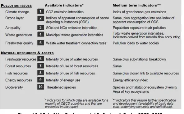 Figura 12. “Set of Key Environmental Indicators”. Fonte: OECD, 2003.