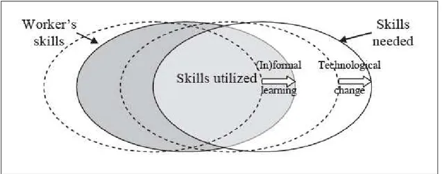 Figure 1.1: The effects on the mismatch between utilized and needed skills. Source: adapted form  Allen, De Grip, 2007.