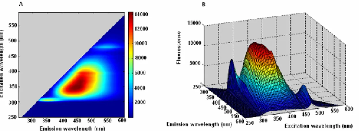 Figure 56. Fluorescence excitation-emission maps of A87G2017  A) Excitation emission contour map; B) excitation-emission surface map 