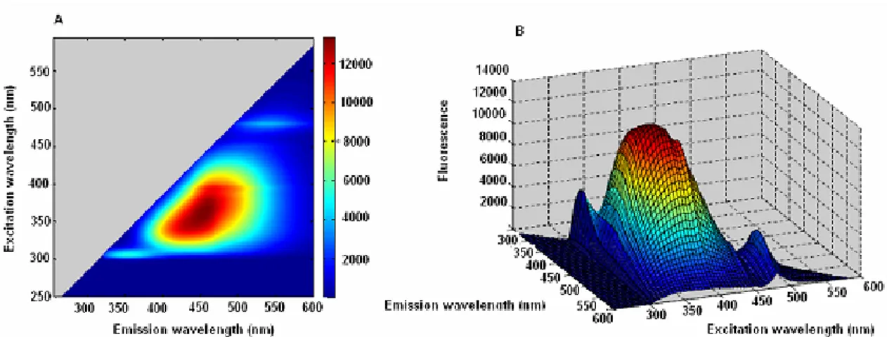 Figure 57. Fluorescence excitation-emission maps of A87G2018  A) Excitation emission contour map; B) excitation-emission surface map 