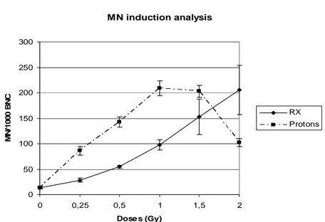 Fig.  10  -  Frequency  of  MN  in  cytokinesis-blocked  binucleated  cells  (BNC)  after  exposure  to  graded  doses  of  X-rays  or  3  MeV  protons