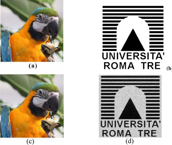 Figure 4.9:  Example of watermarking. (a) Hosting image; (b) grayscale mark, (c)  watermarked  image (α= 0.1); (c) extracted mark