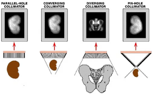 Figura 1.7: Tipi diversi di collimatori