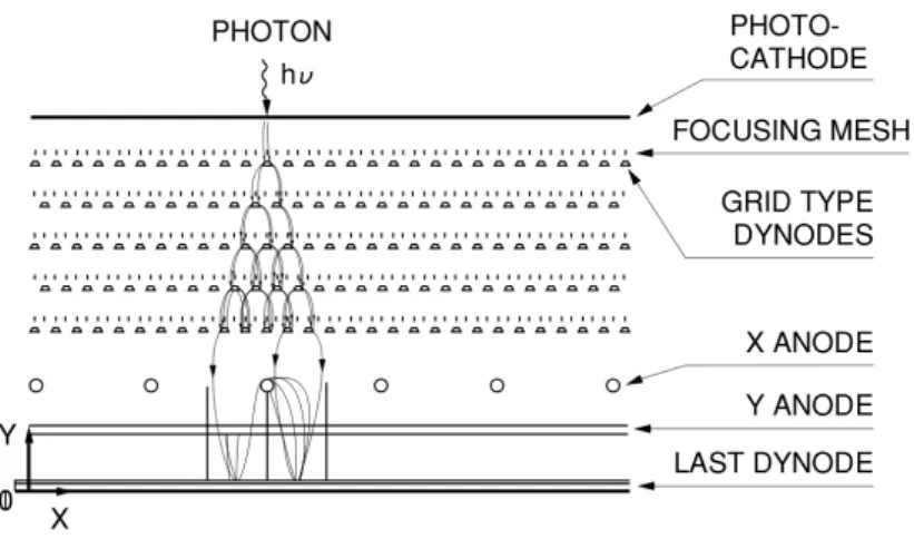 Figura 1.10: Schema generale di un fotomoltiplicatore sensibile alla posizione I fotomoltiplicatori sensibili alla posizione possiedono tutte le caratteristiche finora enunciate dei PMT con la differenza di poter localizzare la posizione dei fotoni inciden