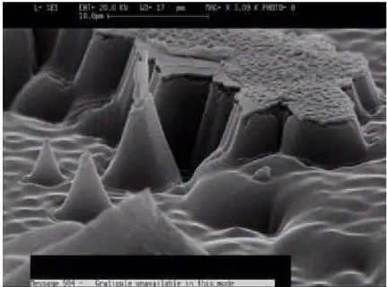 Figura  1.7.2  :  Immagine  SEM  che  mostra  delaminazioni  e  protrusioni  della  plastica  nel  film  di  silicio  a  causa 