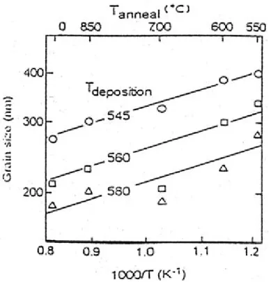 Figura 3.5.5 : Dimensione dei grani in funzione della temperatura di “annealing” per un film di spessore pari 200 