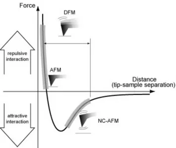 Figura 2.2.2: Potenziale di tipo Lennard-Jones e modalità di utilizzo dell’AFM